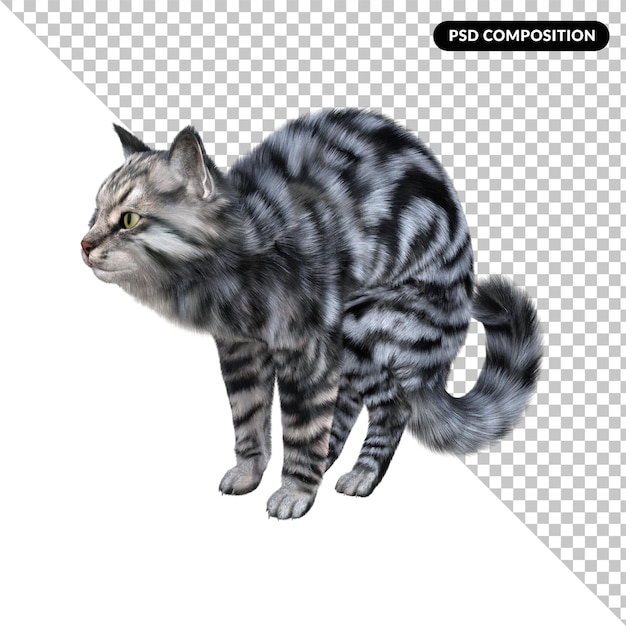 PSD gatto animale isolato 3d