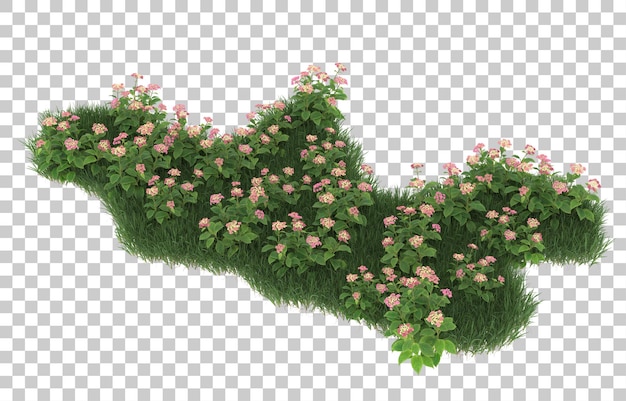 Grama e flores em fundo transparente. renderização em 3D - ilustração