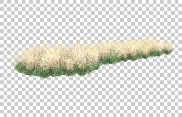 PSD herbe sur fond transparent. rendu 3d - illustration