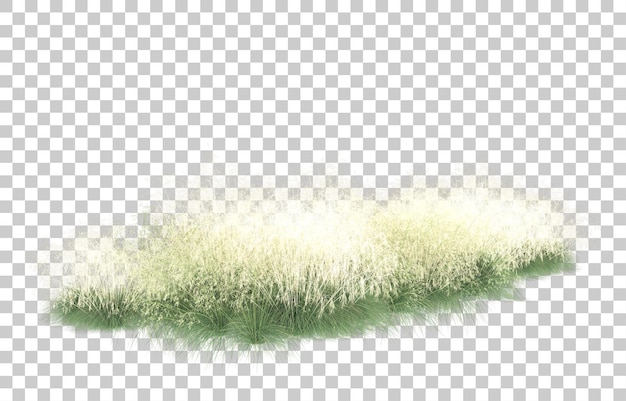 PSD herbe sur fond transparent. rendu 3d - illustration