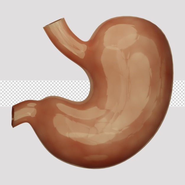 PSD l'icône 3d de l'estomac