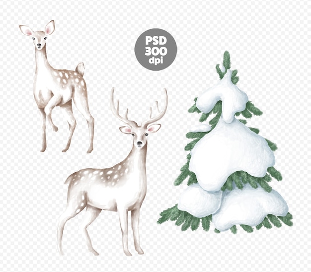 Illustrations numériques de cerfs et de sapins de Noël