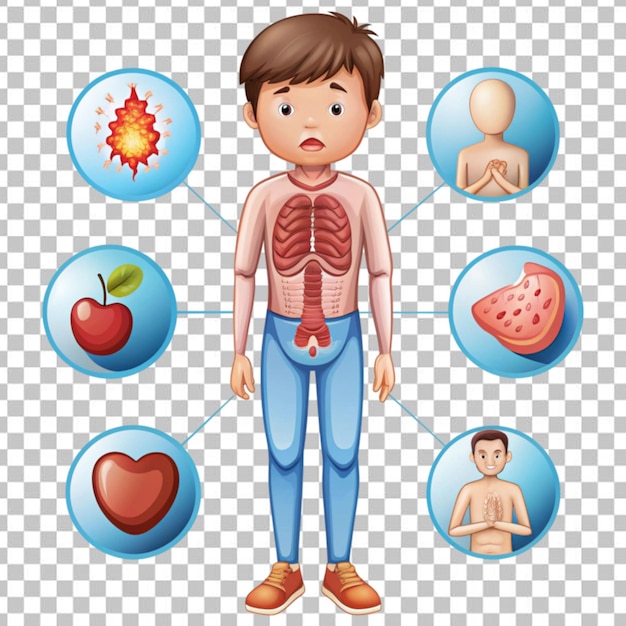 Des illustrations sur la santé