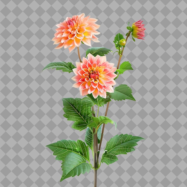 PSD une image d'une fleur avec un fond de fond gris