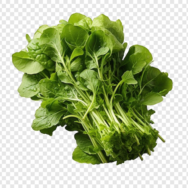 Isolato stile arugula png con sfondo bianco illustrazione generativa IA