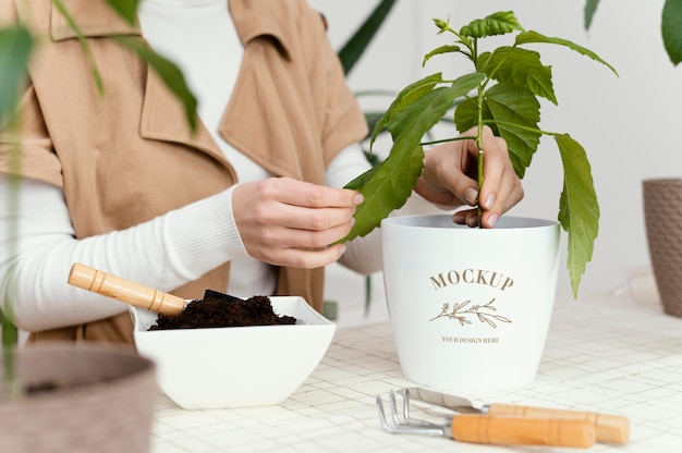 Maquete de plantio de vegetação interna