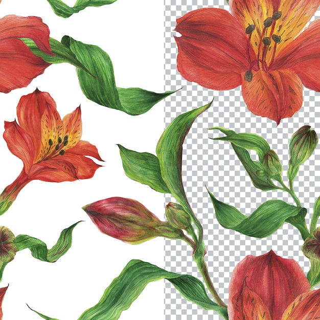 PSD padrão sem emenda de flores vermelhas de alstroemeria. composição romântica para casamentos e dia dos namorados. ilustração floral em aquarela para têxteis, saudações e convites