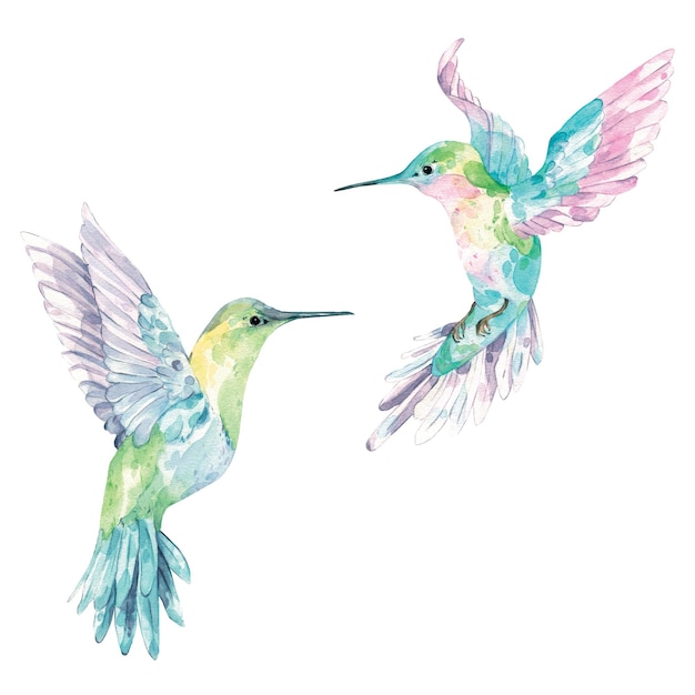 PSD patron avec des colibris à l'aquarelle des colibris dessinés pattern avec des oiseaux exotiques