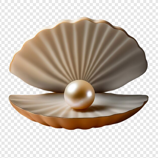 PSD pearl e shell png isolati su sfondo trasparente premium psd