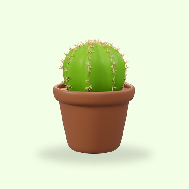 une plante de cactus vert avec un pot brun avec les mots cactus dessus