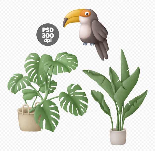 Plantes en pot et illustrations dessinées à la main de toucan numériques