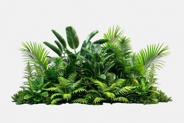 PSD plantes tropicales sur un fond transparent