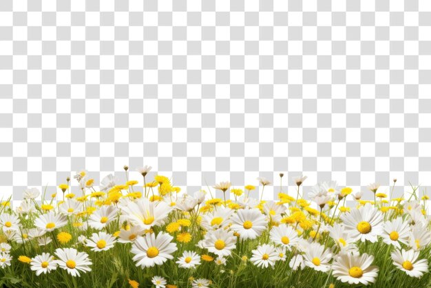 PSD png-feld gefüllte blumen-hintergründe landschaft ki-generiert bild von rawpixel