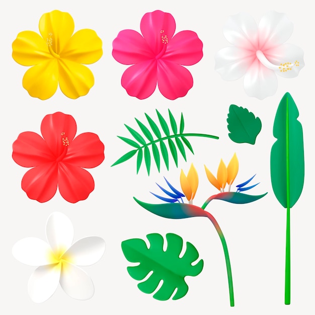 PSD png set de flores de verão com fundo transparente