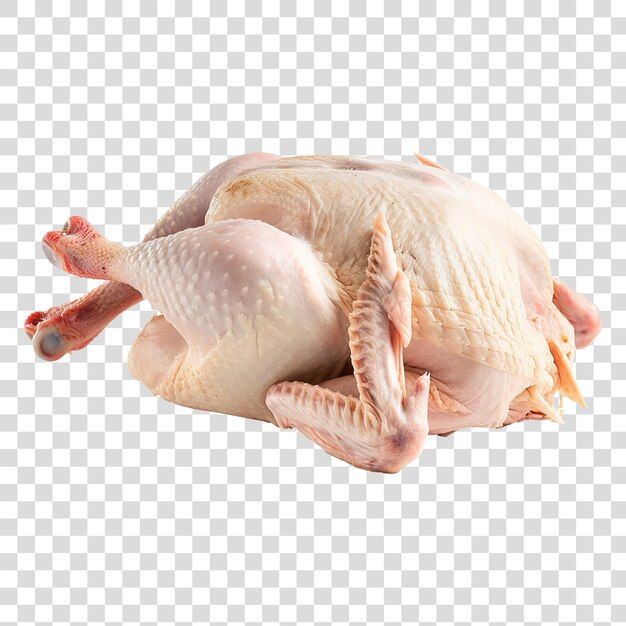 PSD pollo crudo isolato su sfondo trasparente png