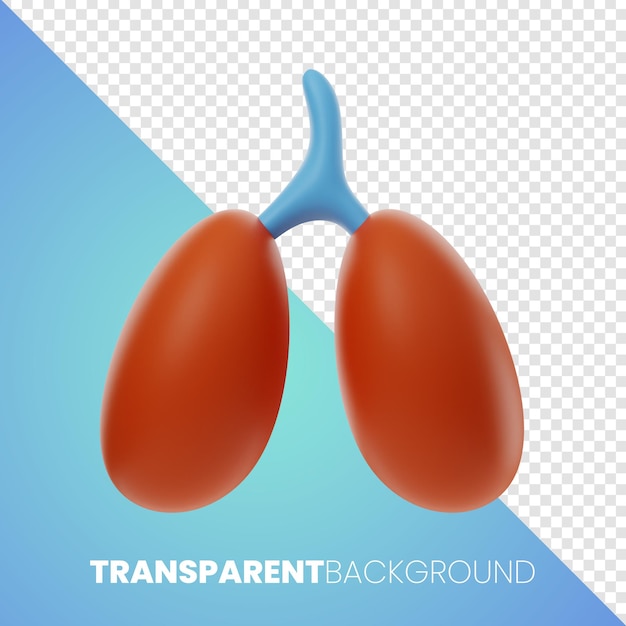 Premium Liver Health Medical icône rendu 3d PNG fond transparent