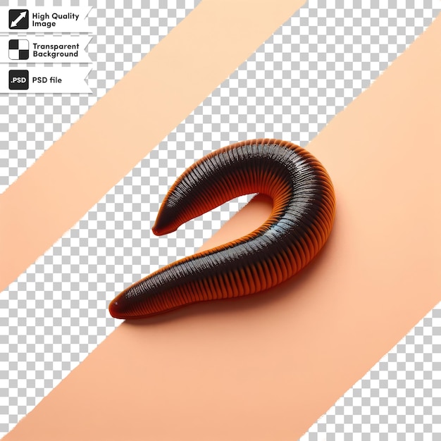 PSD psd close-up de um worm em fundo transparente