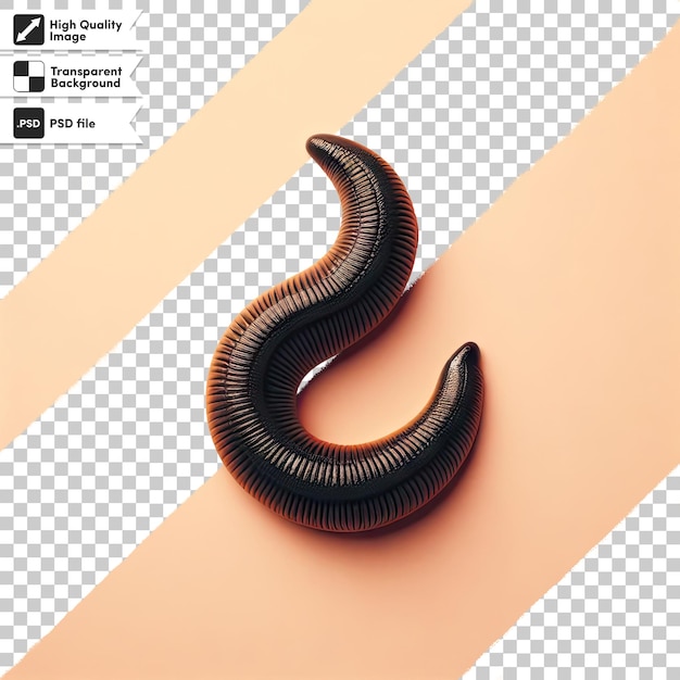 PSD close-up de um worm em fundo transparente