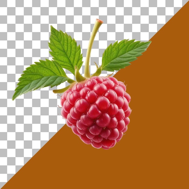 PSD raspberry isolé sur un fond transparent