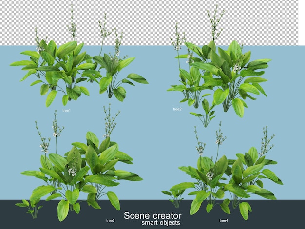 PSD rendu 3d de beaux arbres sous différents angles isolés