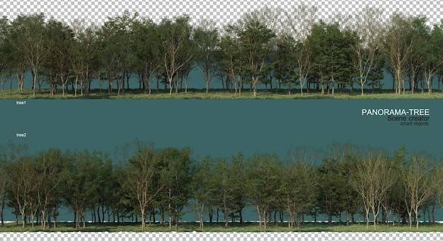 PSD rendu 3d de la disposition des arbres grand angle