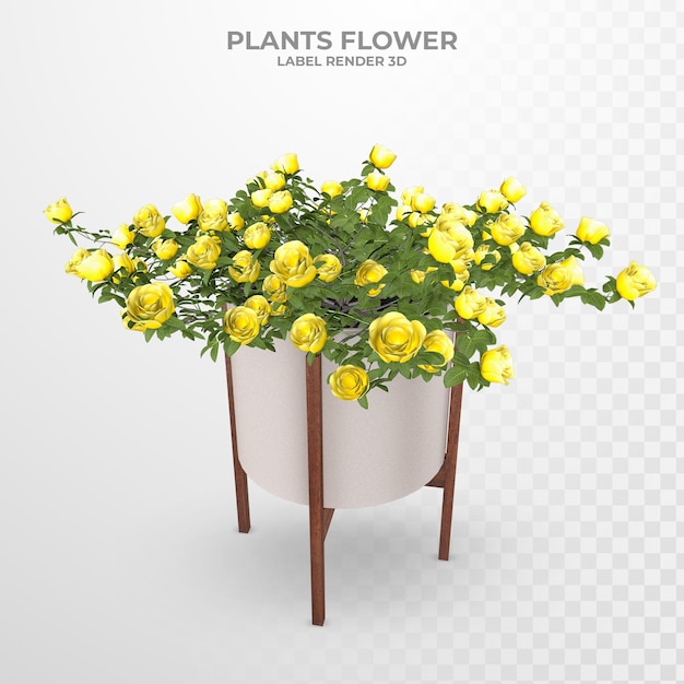 Rendu 3d de fleurs d'intérieur de plantes