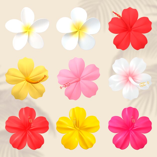 PSD set de fleurs d'été de png à fond transparent