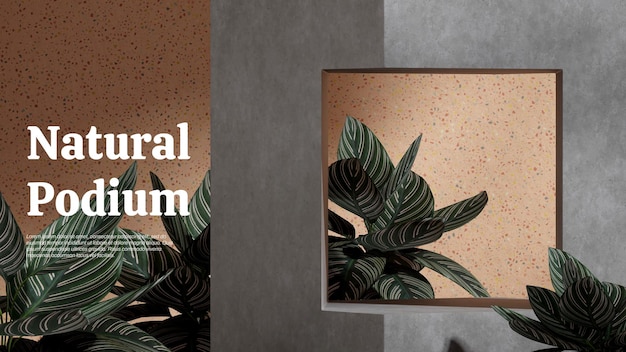 PSD terrazzo marrom e planta calathea renderização 3d modelo de cena de imagem pódio de buraco de concreto na paisagem