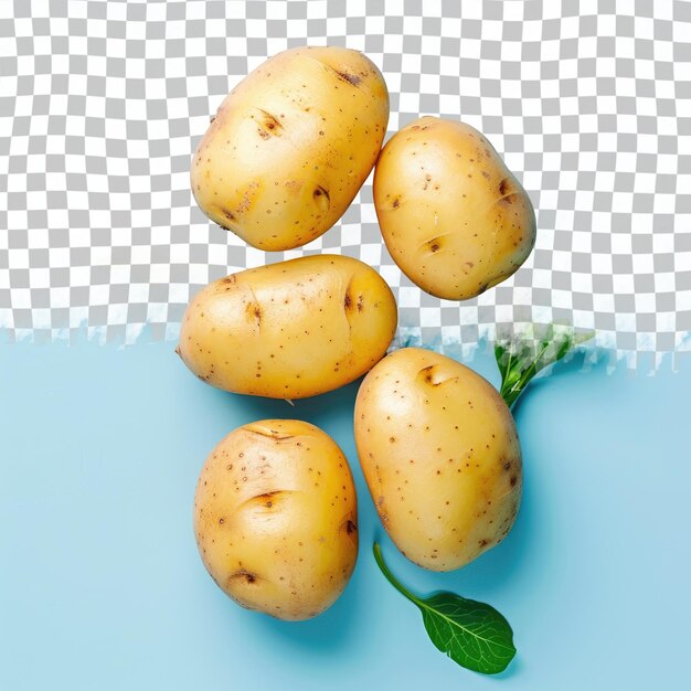 PSD uma foto de batatas com uma folha verde