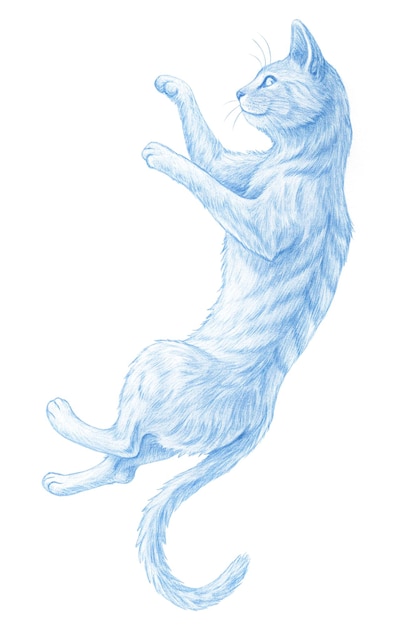 PSD un disegno di un gatto con uno sfondo blu