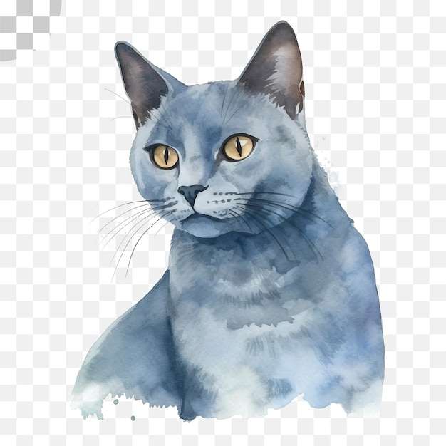 PSD un gatto blu con gli occhi gialli è un dipinto ad acquerello di un gatto, download di png hd