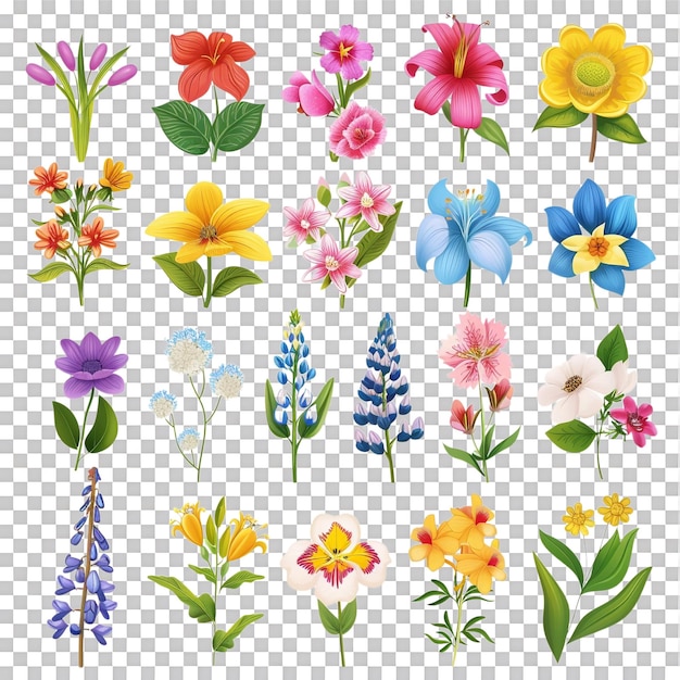 PSD verschiedene lebendige blumen in vektor-clipart