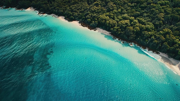 PSD vue aérienne de l'eau turquoise et de la plage de sable blanc