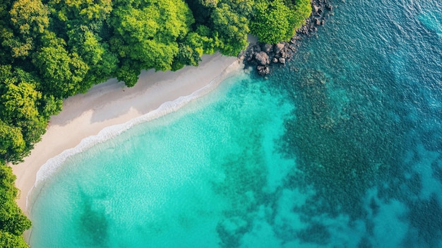 PSD vue aérienne d'une plage immaculée et d'une eau turquoise