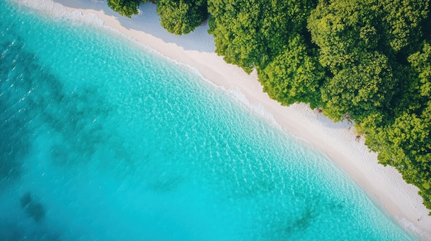 PSD vue aérienne de la plage tropicale