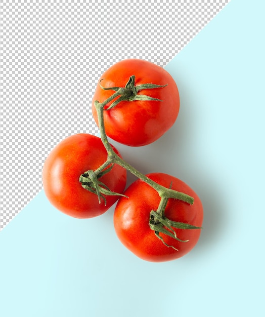 Vue de dessus de la maquette de tomate