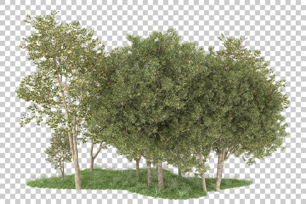 Wald auf transparentem Hintergrund. 3D-Rendering - Abbildung