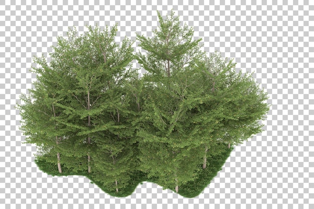 Wald auf transparentem Hintergrund. 3D-Rendering - Abbildung