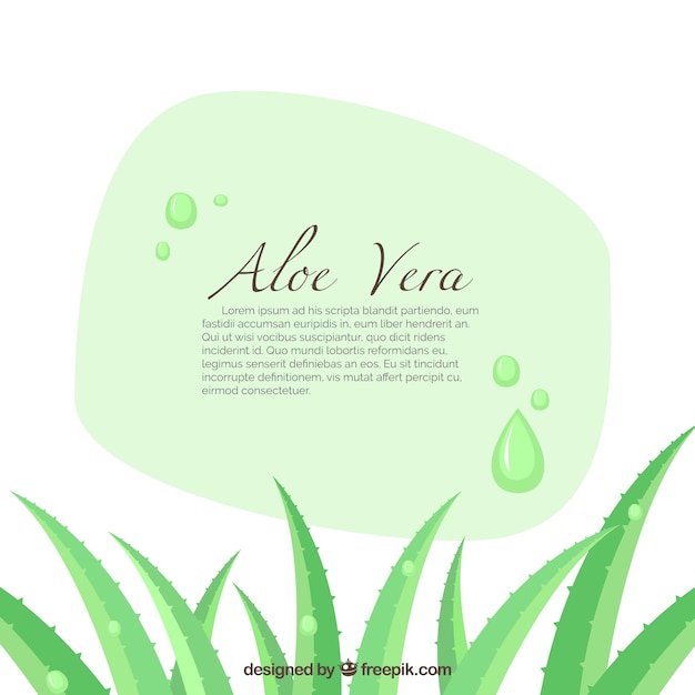 Vecteur gratuit aloe vera banner illustration