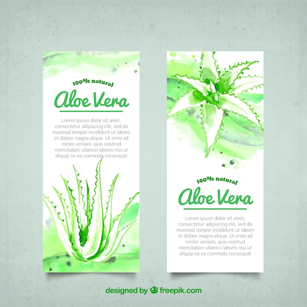 Vecteur gratuit aloe vera bannières d&#39;aquarelle