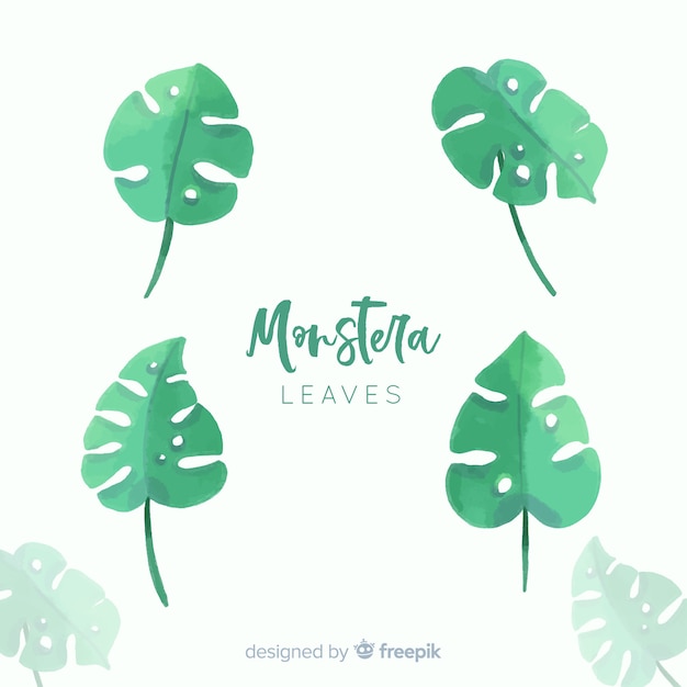 Vecteur gratuit aquarelle monstera feuilles