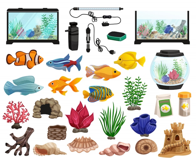 Vecteur gratuit aquaristique et set de poissons d'aquarium