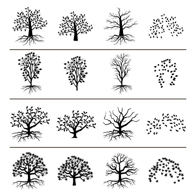 Arbres avec racines, feuillage et feuilles mortes isolés sur fond blanc. Silhouette d'arbre et illustration monochrome de feuille