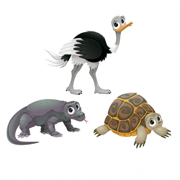 Vecteur gratuit australian tortue animaux d&#39;autruche drôle et dragon de komodo vector cartoon isolé personnages