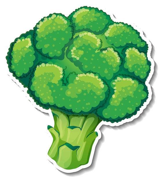 Autocollant de brocoli sur fond blanc