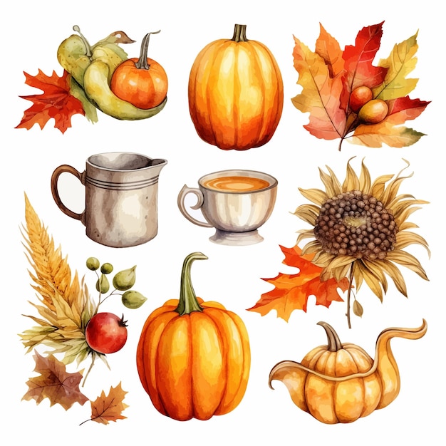 Automne Thanksgiving aquarelle clipart fond blanc