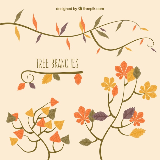 Vecteur gratuit branches d&#39;arbres d&#39;automne