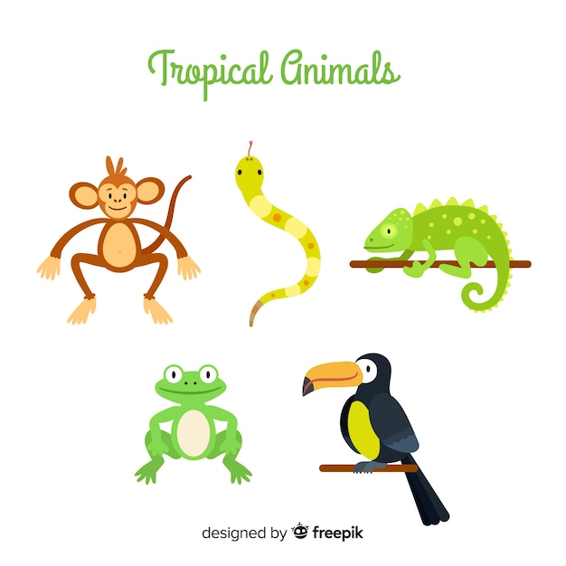 Vecteur gratuit collection d'animal tropical plat