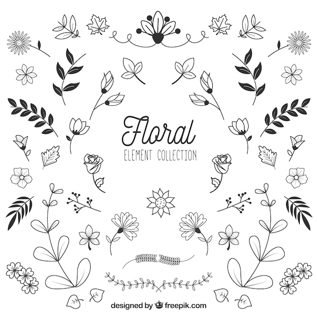 Collection d&#39;éléments floraux dans un style dessiné à la main