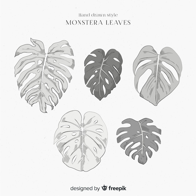 Vecteur gratuit collection de feuilles de monstera